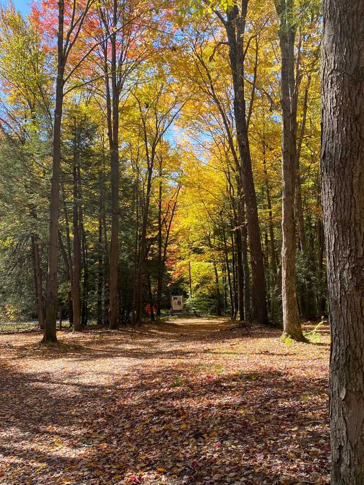 Sleepy Hollow Campground - Photo 2