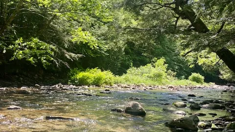Tent Site on the River - Large — image 10 of 10