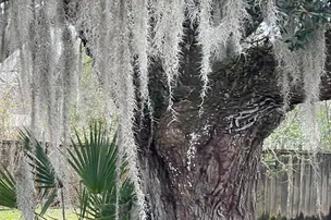 Bayou Black RV Park – photo 5
