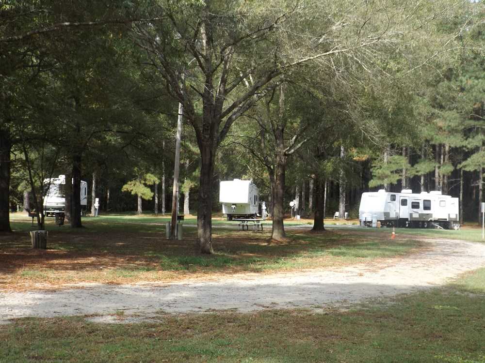 Cashie River Treehouses and Campground - Photo 5
