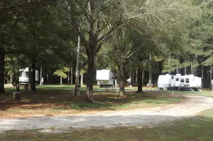 Cashie River Treehouses and Campground – photo 5