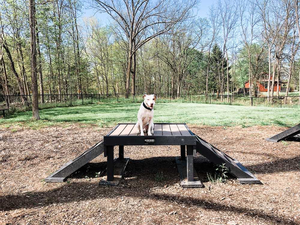 Park Image 21