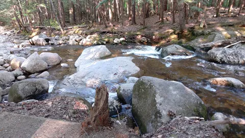 Tent- Electricity, Brook Front — image 2 of 5