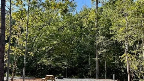 Full Hookup Back-In RV Site — image 2 of 8