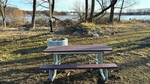 Tent Site 3 (Dog Friendly) — image 1 of 1