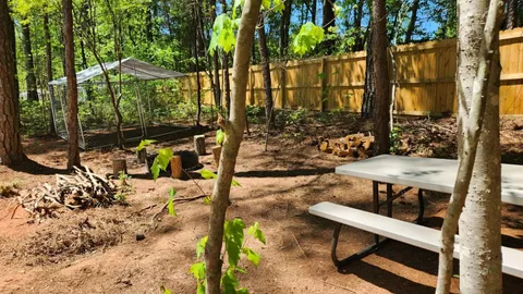 Campsite #6 RV/ Tent  Site Full Hook Up, 60’ x 18’ Level Gravel Pad with Back Yard and Shaded Fenced Enclosure for your Pets, Pull Through — image 2 of 11