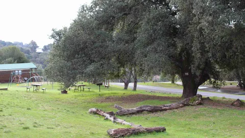 Primitive Group Tent Site — image 1 of 3