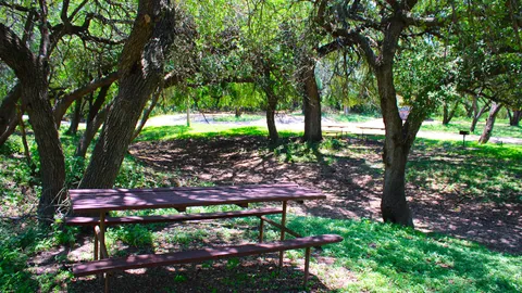 Primitive Site — image 7 of 7