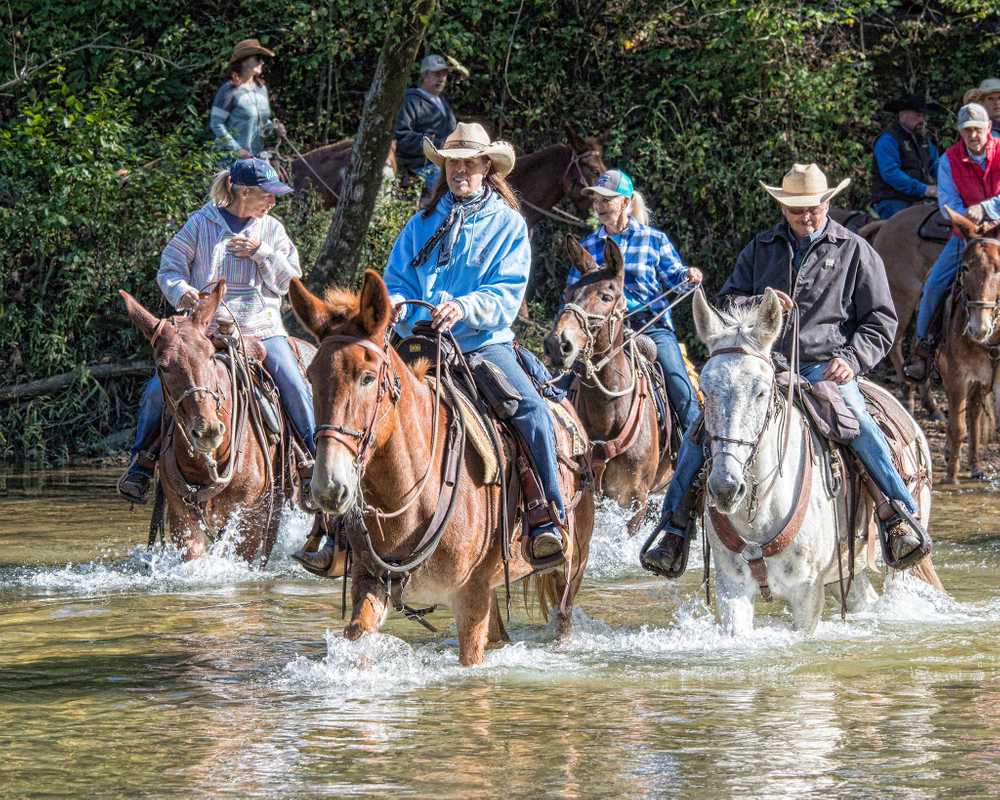 North Fork River Ranch - Photo 5