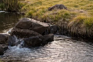 -385 Grill and Campground – photo 3