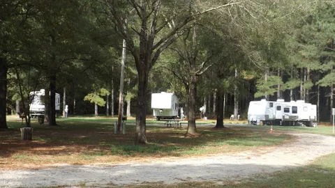 Back-In RV Site — image 2 of 2