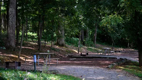 Primitive Tent Site — image 1 of 1