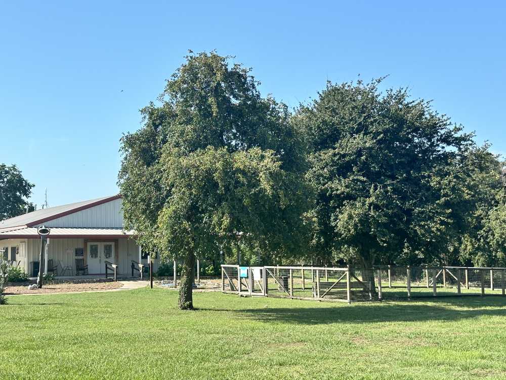 Park Image 9