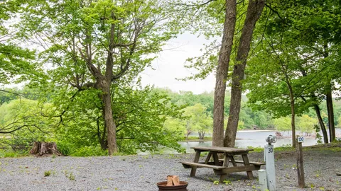 Waterview Standard RV/Tent Site — image 1 of 4