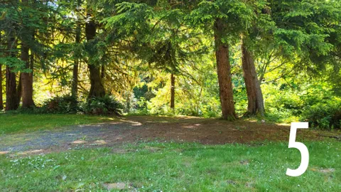 Lake Creek Primitive Tent Site — image 2 of 11