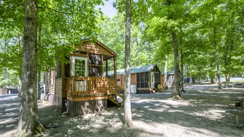 Yogi Bear Family Lodge 8-Person — image 1 of 15