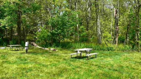 30/20 AMP Premium Forest View — image 1 of 2