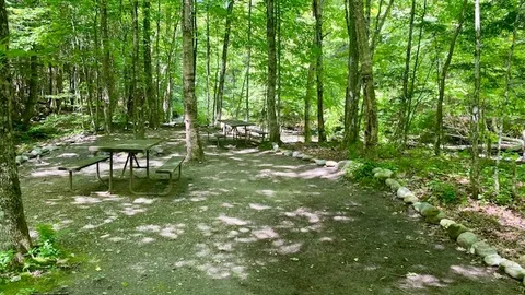 Tent Site on the River - Large — image 1 of 10