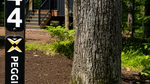 Tiny Cabin #44 - Peggie's Post — image 2 of 7