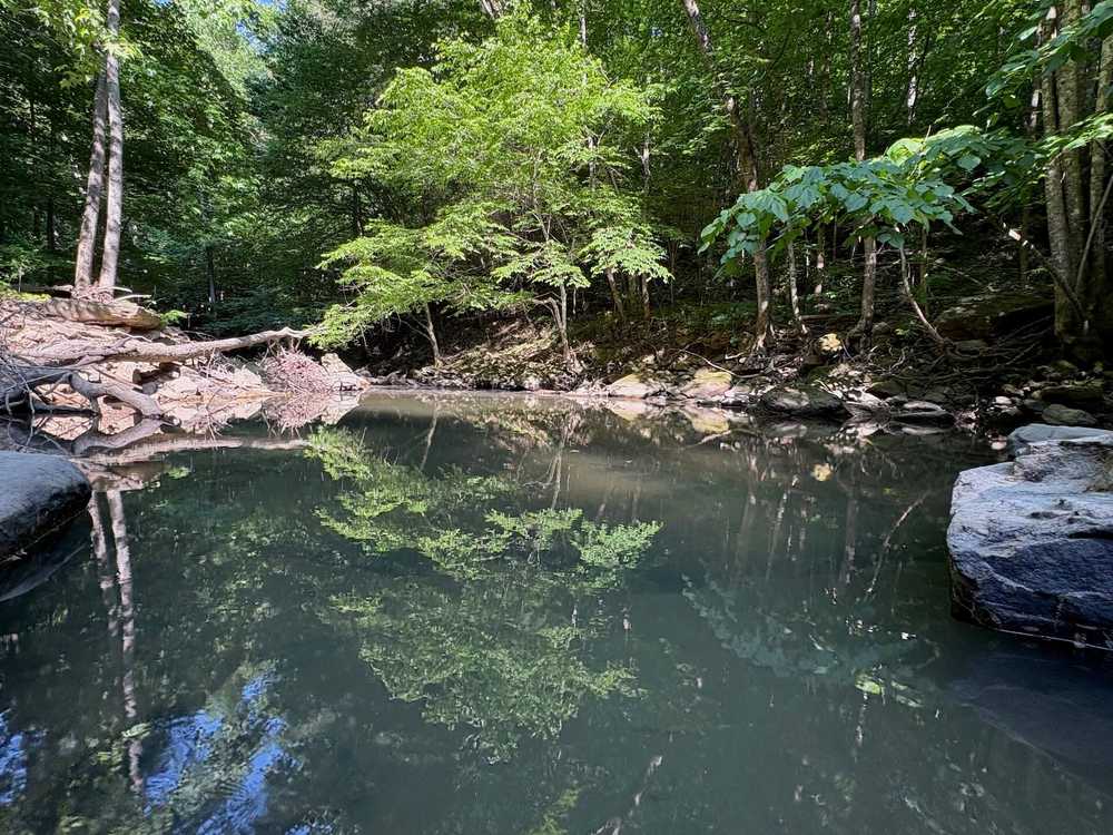 Stillwaters Creek -  Spencer, TN - Photo 3