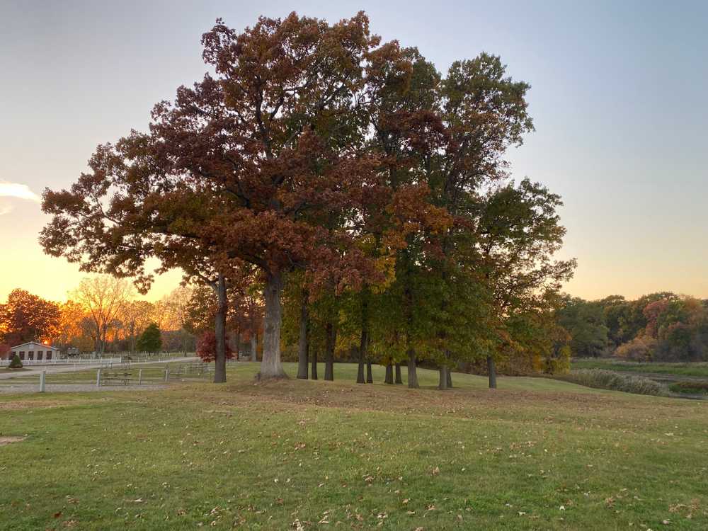 Park Image 10