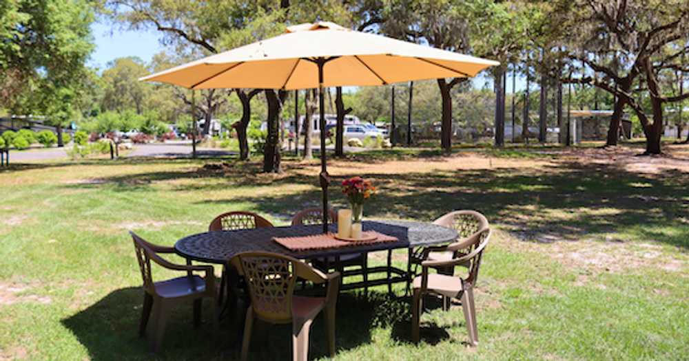 Manatee Springs RV Park, Chiefland, Florida - Photo 5
