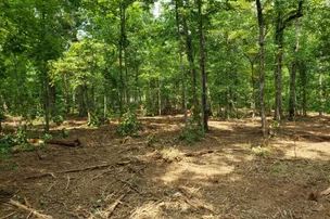 Paradise On The Mountain RV Park – photo 4