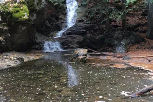 Cedar Falls Campground – photo 3