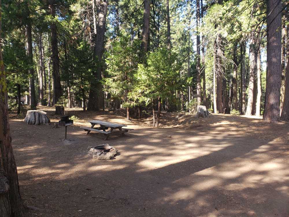 Golden Pines RV Resort, Arnold, California - Photo 3