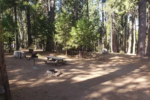 Golden Pines RV Resort – photo 3