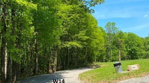 Wooded Primitive — image 4 of 4