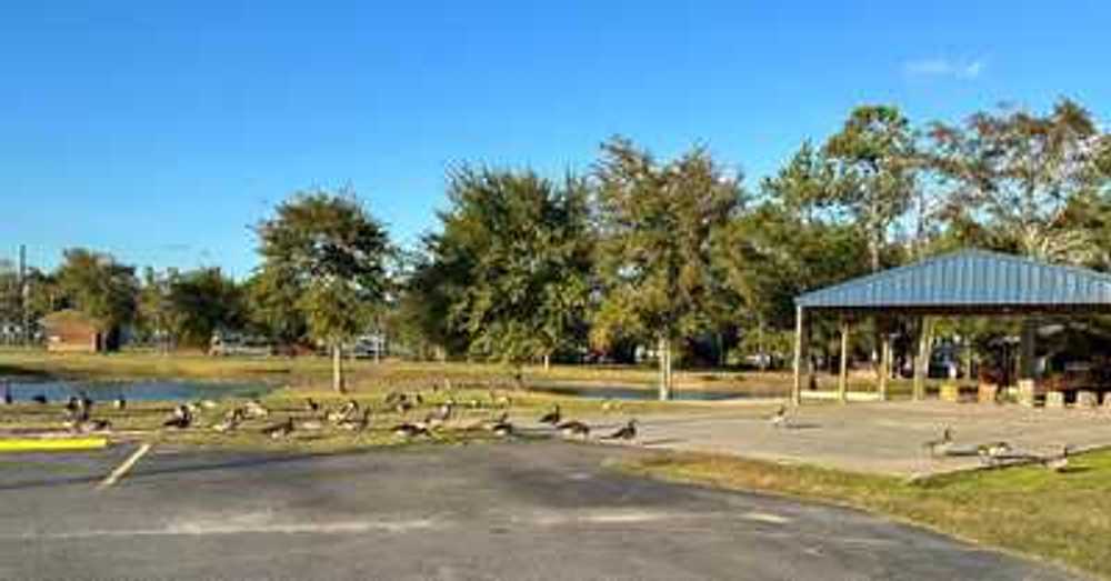 Park Image 9