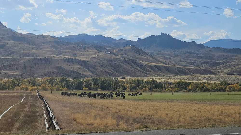 Old Faithful Rv Park, Cody, Wyoming - Photo 4