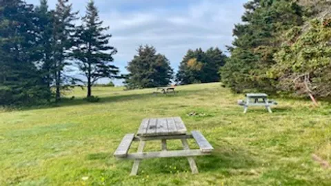 Unserviced Treeline Tent/Popup Sites — image 1 of 3