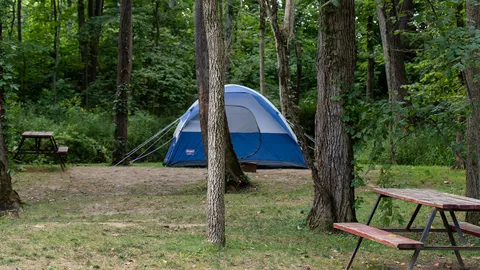 Group Tent Site- 18 People — image 1 of 1