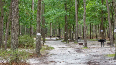 Tent Site — image 1 of 2