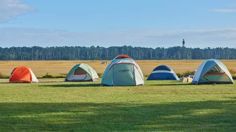 Primitive Tent Site — image 6 of 6