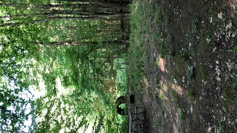 Tent site/small pop up - Water and 110V electric only — image 4 of 4