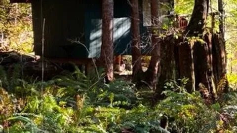 Fairy Cabin — image 2 of 5