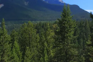 Whispering Spruce Campground – photo 4
