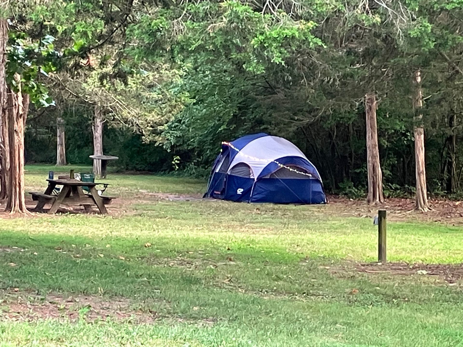 Waynesboro North 340 -