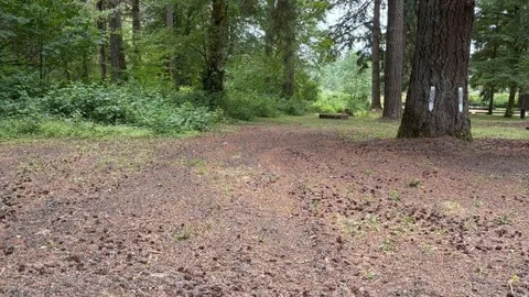 Section D -  Tree Canopy Area — image 6 of 6