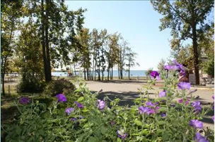 Pelican Point Campground – photo 4