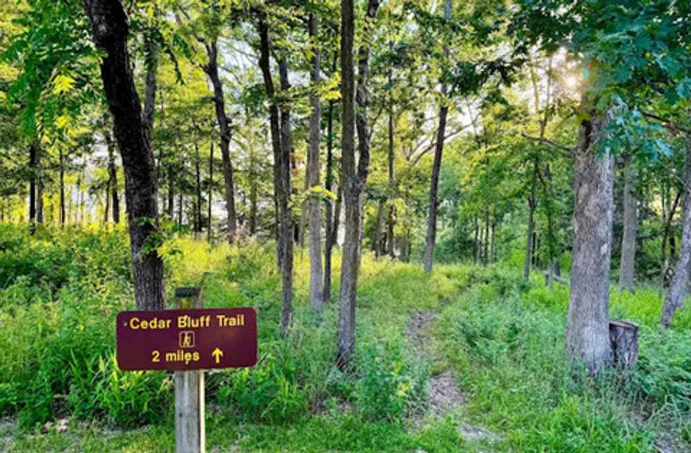 Pomme Ridge, Pittsburg, Missouri - Photo 4