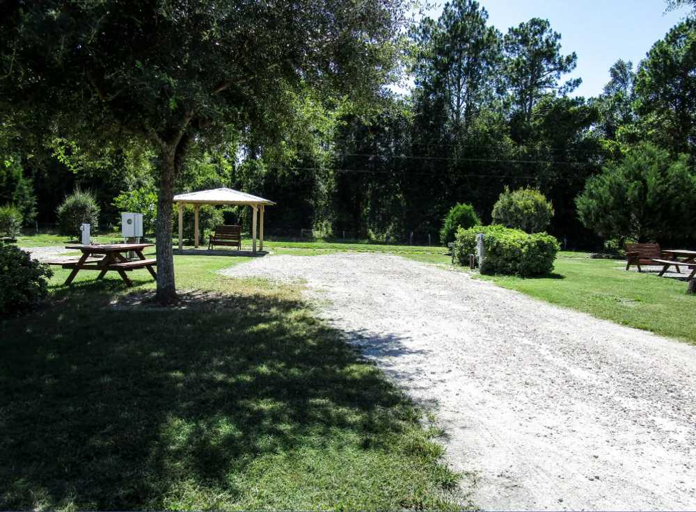 Suwannee River Rendezvous Resort and Campground - Photo 5