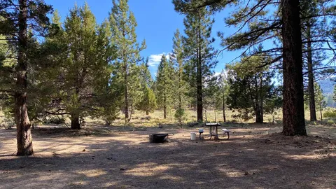 Forest Site Small — image 4 of 4