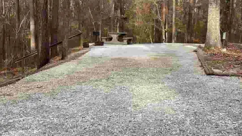 50 AMP Broad River Interior Campsite — image 8 of 8
