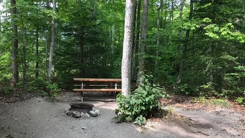 Family Cabin 4 — image 2 of 3