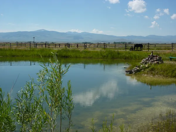 Conestoga Campground & RV Park campground