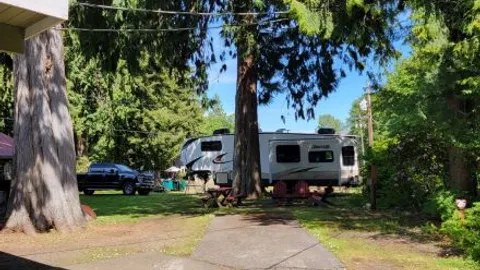 RV Site adjacent to cabin suite — image 1 of 1